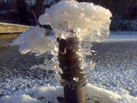 Bild6